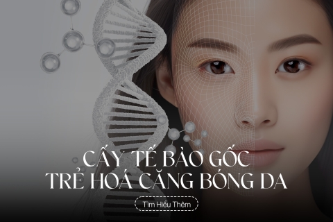 Cấy tế bào gốc trẻ hoá căng bóng da